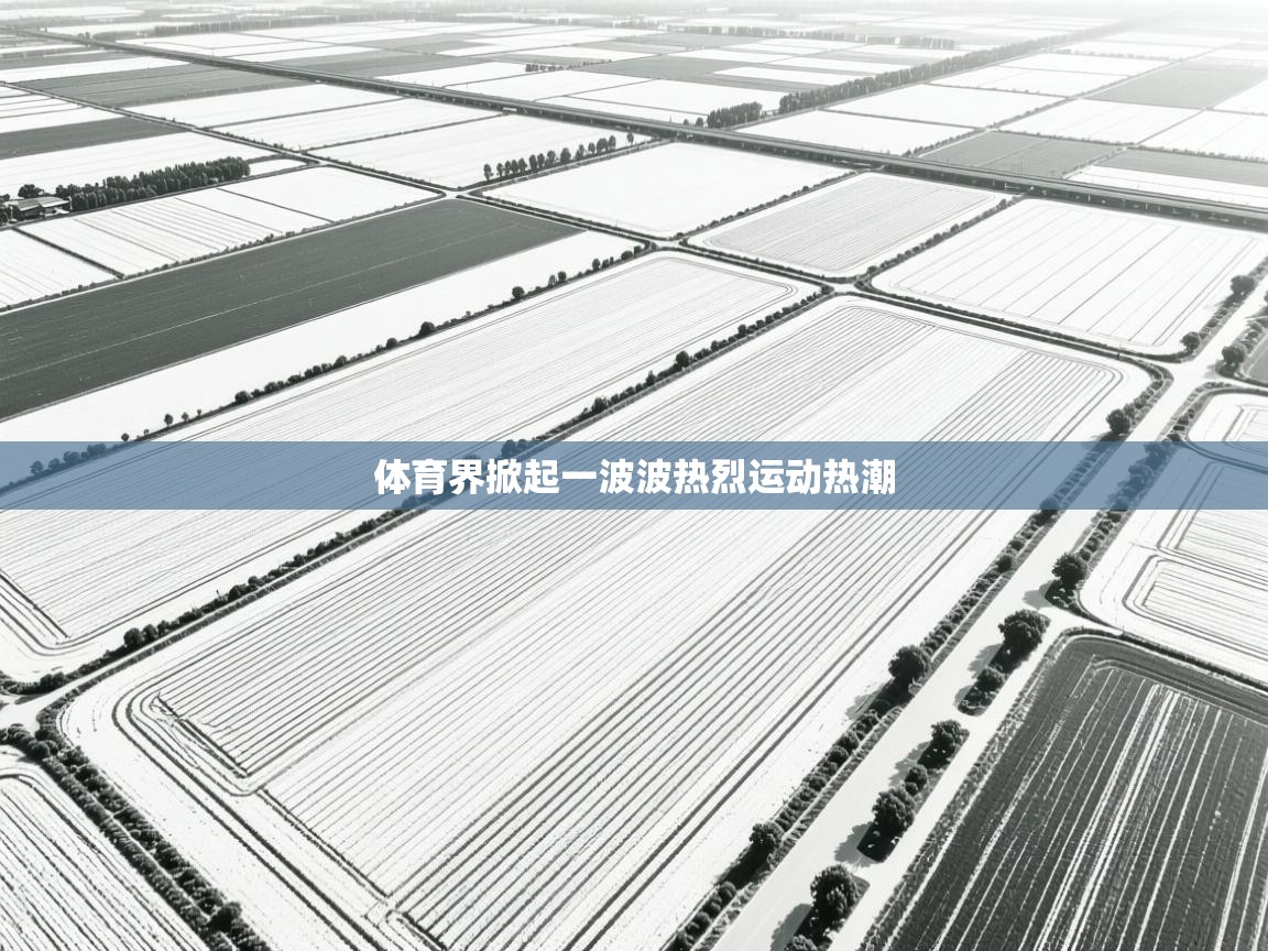 体育界掀起一波波热烈运动热潮  第1张